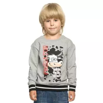 Толстовка для мальчиков, рост 110 см, цвет серый