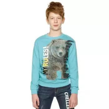 Толстовка для мальчиков, рост 122 см цвет голубой