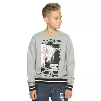 Толстовка для мальчиков, рост 134 см, цвет серый