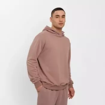 Толстовка мужская MINAKU: Casual Collection, размер 44, тёмно-бежевая