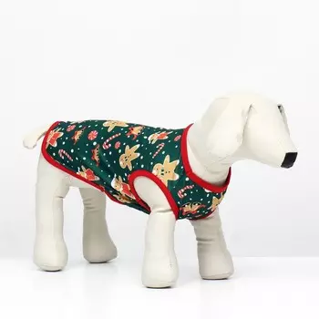 Толстовка для собак «Пряня», размер 2XL (ДС 42, ОШ 34, ОГ 48 см), зелёная