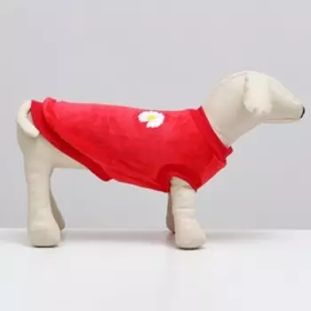 Толстовка "Ромашка", велсофт, размер 2XL, красная (ДС 44, ОШ 34, ОГ 48 см)