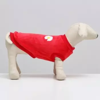 Толстовка "Ромашка", велсофт, размер L, красная (ДС 35, ОШ 30, ОГ 42 см)