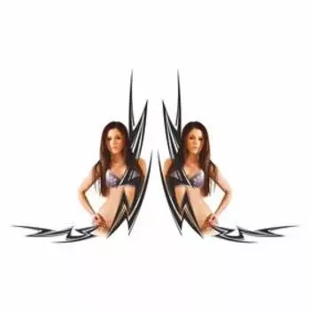 Тонировка-уголок "Девушка" №3, цветная, 35 х 16 см