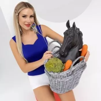 Топ Charutti «Безупречный силуэт», размер 42