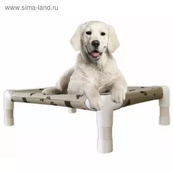 Топчан Fauna INT RELAX, для собак, 81х56х18см