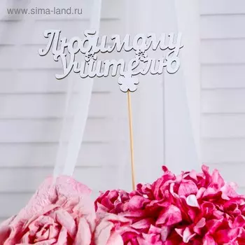 Топпер «Любимому учителю», белый, 12,56 см