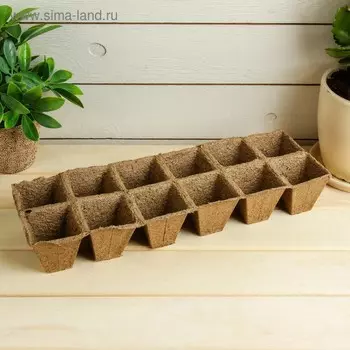 Торфяная кассета, 12 ячеек 50 мл, 5 5 см