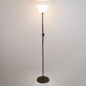 Торшер «Изи» 115 Вт Е27 МОДЕЛЬ: BR=01010 венге/прозрачный