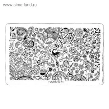 Трафарет металлический для стемпинга TNL большой, Пейсли