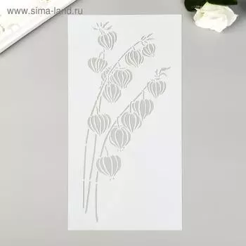 Трафарет пластик "Физалис" 23х12 см