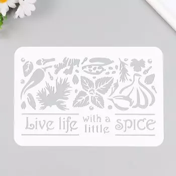 Трафарет пластиковый "Специи" 16х24 см