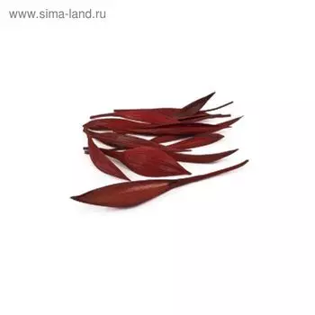 Трава сухоцвет, коко боут, мини красный 100 г