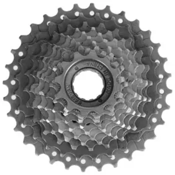 Трещотка 10 скоростей, 12-32T