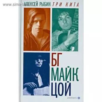 Три кита: БГ, Майк, Цой. Рыбин А.
