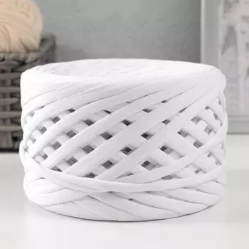 Трикотажная пряжа, ширина 7-9 мм, 100м/295 гр±10% (00 - белый)