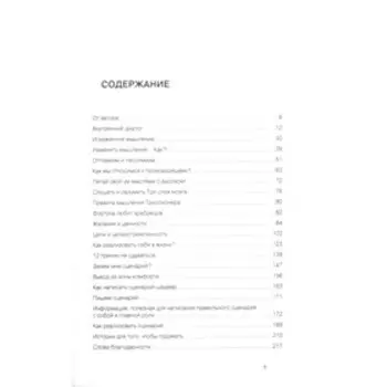 Триллионер думает. Аляутдинов Ш.