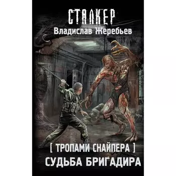Тропами Снайпера. Судьба Бригадира. Жеребьев Владислав Юрьевич