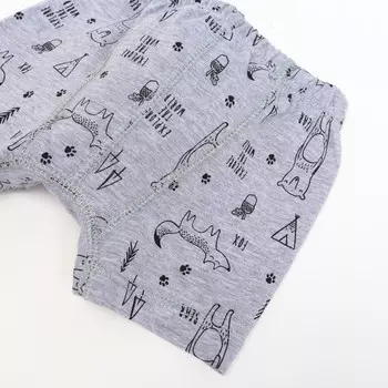 Трусы-боксеры для мальчика, цвет светло-серый/звери, рост 128 см