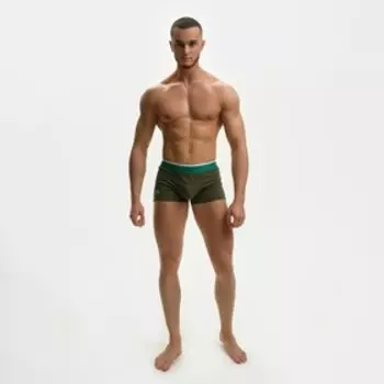Трусы боксеры мужские, цвет зелёный МИКС, размер 54