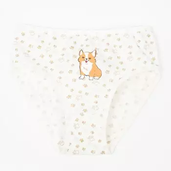 Трусы для девочки, цвет молочный / корги, рост 128