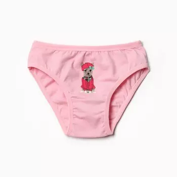 Трусы для девочки, цвет розовый, рост 140-146 см