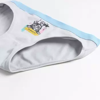 Трусы для девочки, цвет серый,рост 110-122 см