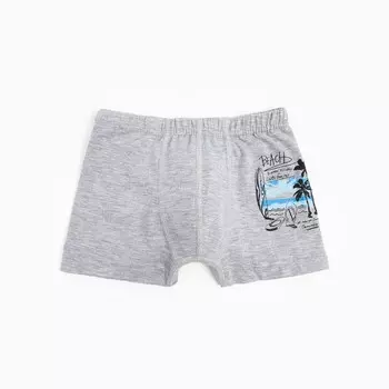 Трусы для мальчика, цвет серый, рост 122-128см