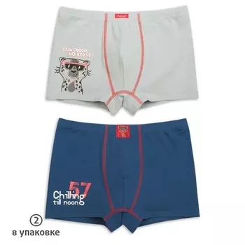 Трусы для мальчиков, рост 140 см, цвет голубой/синий 2шт.