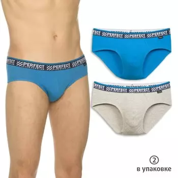 Трусы мужские 2 шт, размер L, цвет лазурный, светло-серый