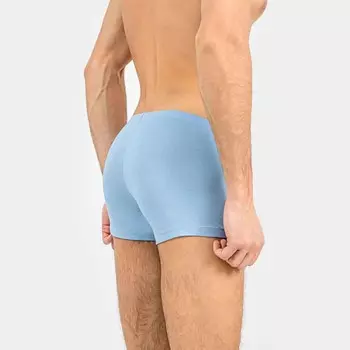 Трусы мужские боксеры, цвет голубой, размер 50 (L)