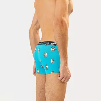 Трусы мужские боксеры, цвет гуси на голубом, размер 52 (XL)