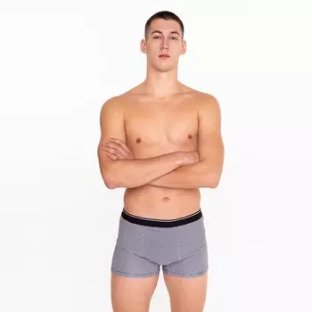Трусы мужские боксеры, цвет серый/белый, размер 48