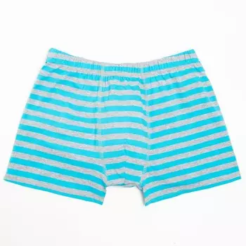 Трусы мужские боксеры, цвет серый/голубой, размер 52