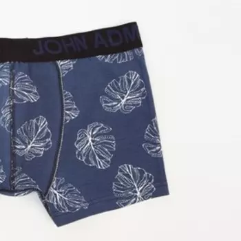 Трусы мужские боксеры, цвет синий, р-р 48-50 (L)