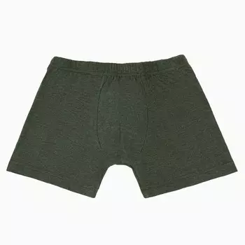 Трусы мужские боксеры, цвет тёмно-зеленый, размер 56