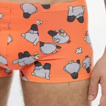 Трусы мужские боксеры «Голуби», цвет оранжевый, размер 50 (L)