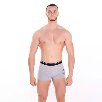 Трусы мужские боксеры «Лев», цвет серый меланж, размер 56