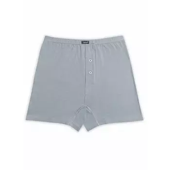 Трусы мужские, размер 3XL, цвет серый