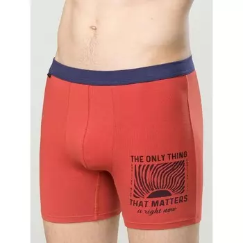 Трусы мужские, размер 48, цвет красный