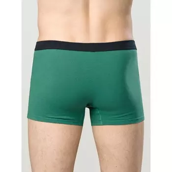 Трусы мужские, размер 48, цвет зелёный
