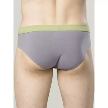 Трусы мужские, размер 50, цвет серый