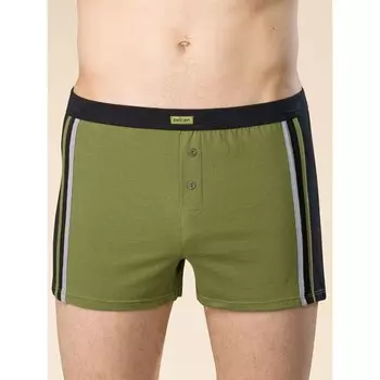 Трусы мужские, размер 50, цвет зелёный