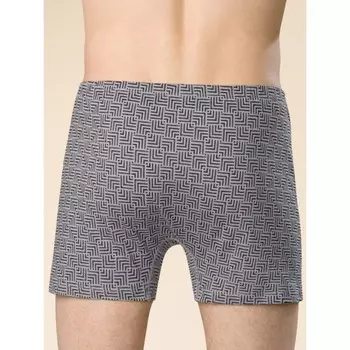 Трусы мужские, размер 54, цвет серый