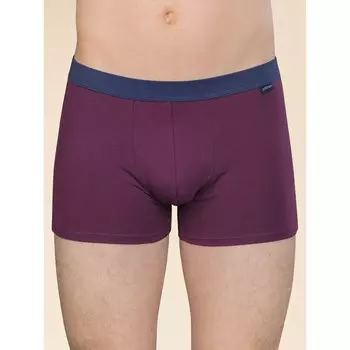 Трусы мужские, размер L, цвет бордовый