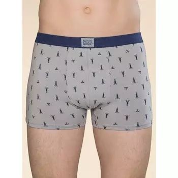 Трусы мужские, размер L, цвет серый