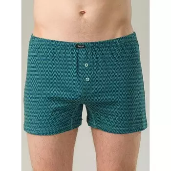 Трусы мужские, размер L, цвет зелёный