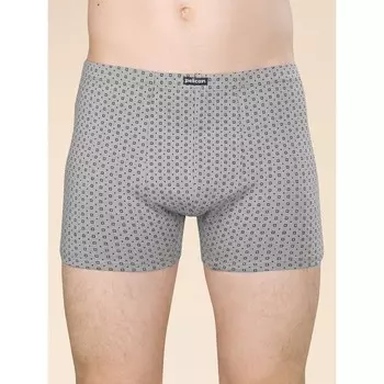 Трусы мужские, размер M, цвет серый