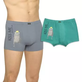 Трусы мужские, размер XL, цвет серый