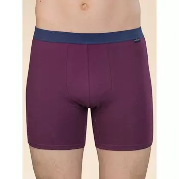 Трусы мужские, размер XXL, цвет бордовый